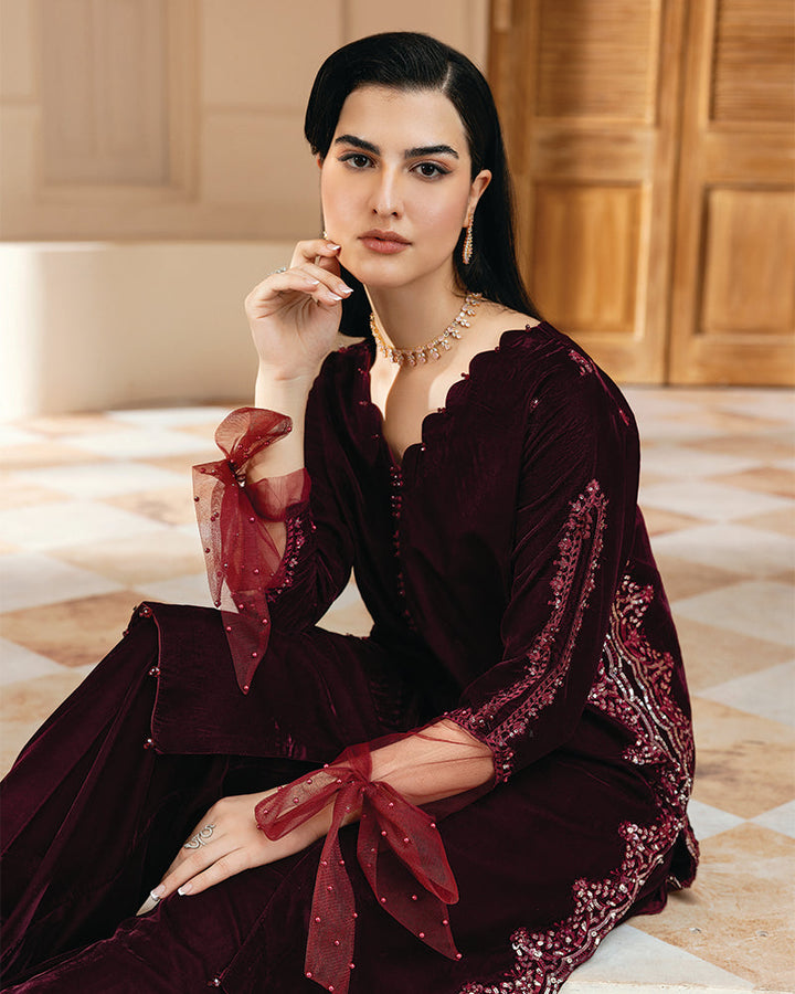 2 Piece Suit Ready to Wear VELVET EMBROIDERED EDITION N-83