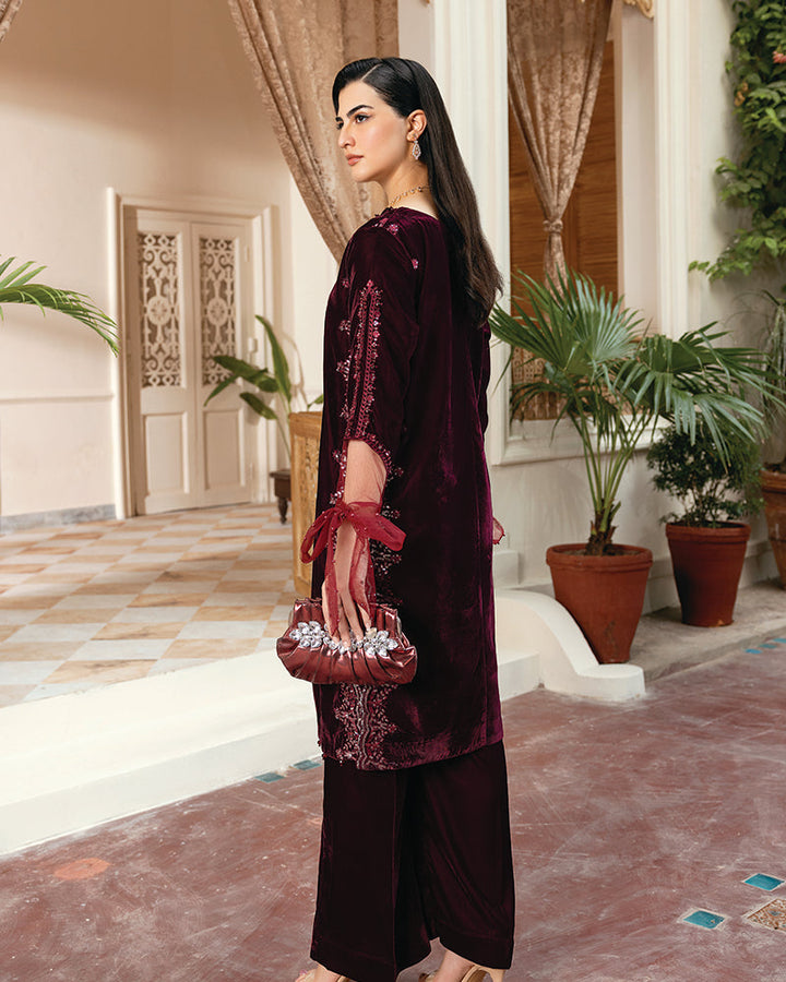 2 Piece Suit Ready to Wear VELVET EMBROIDERED EDITION N-83