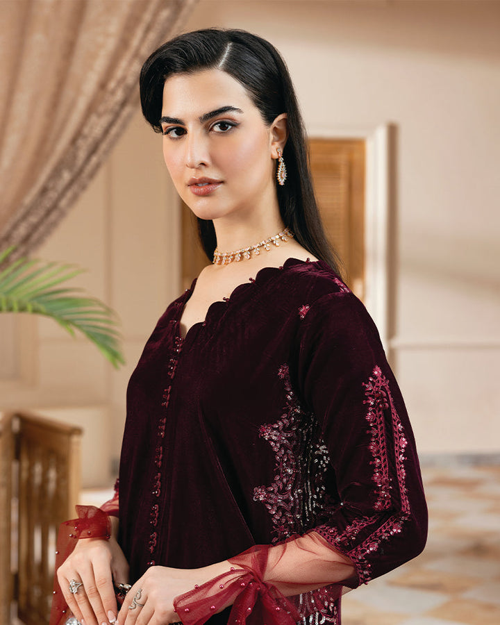 2 Piece Suit Ready to Wear VELVET EMBROIDERED EDITION N-83