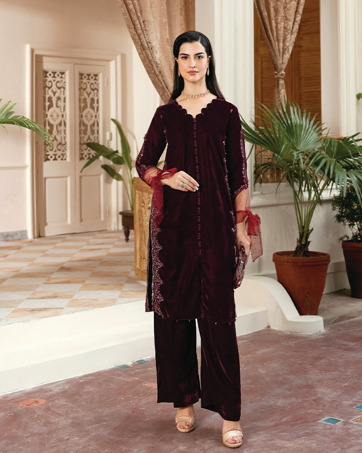 2 Piece Suit Ready to Wear VELVET EMBROIDERED EDITION N-83