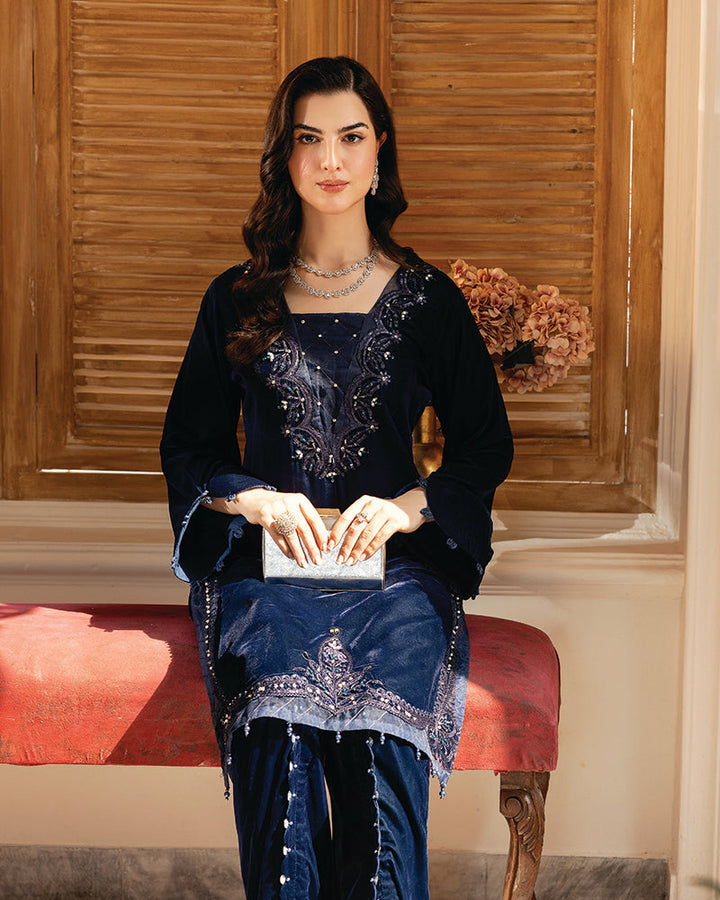 2 Piece Suit Ready to Wear VELVET EMBROIDERED EDITION N-83