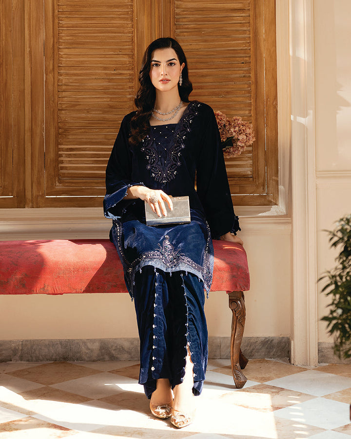 2 Piece Suit Ready to Wear VELVET EMBROIDERED EDITION N-83