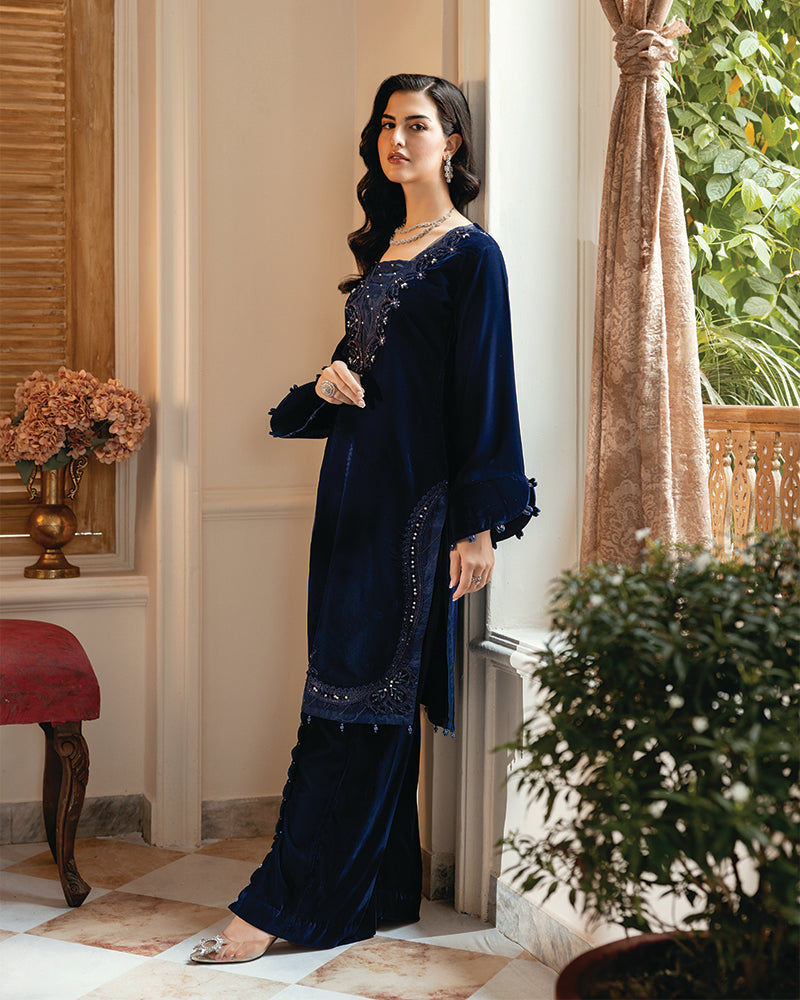 2 Piece Suit Ready to Wear VELVET EMBROIDERED EDITION N-83