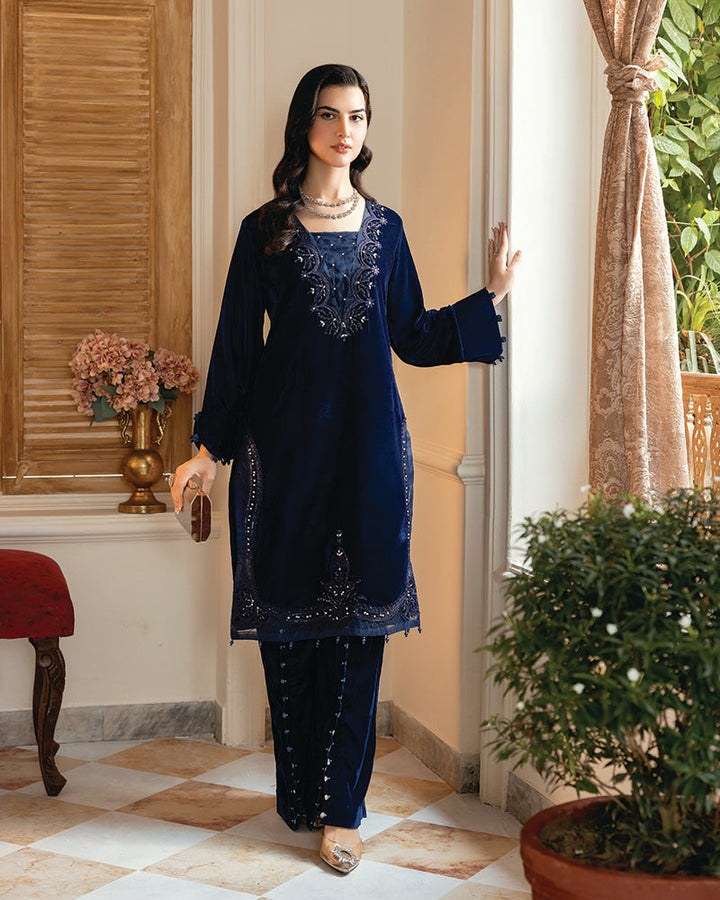 2 Piece Suit Ready to Wear VELVET EMBROIDERED EDITION N-83